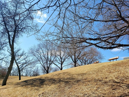 Nature sceneries digital - sceneries,